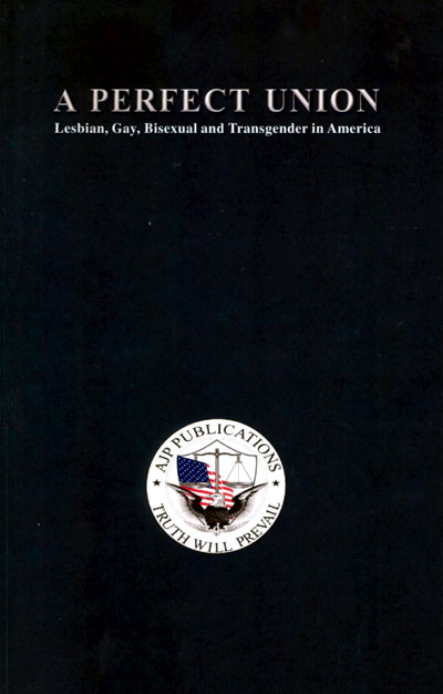 a perfect union book cover